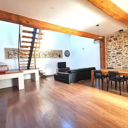 Ancienne Remise Viticole Amenagee En Loft Mailhac